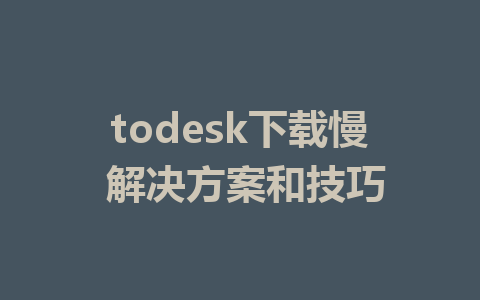 todesk下载慢 解决方案和技巧