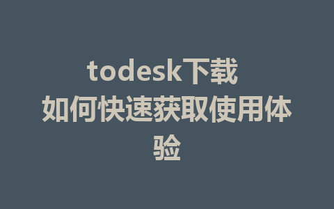 todesk下载 如何快速获取使用体验