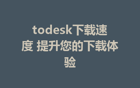 todesk下载速度 提升您的下载体验